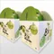 【社頭鄉農會】*限量促銷*芭樂 8樂鮮果禮盒(3公斤x2盒)(含運)_台灣在地水果節