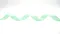 DKN0002 經典提花編織緞帶 21MM  (DKN0002 JACQUARD RIBBON 21MM)