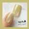 ageha gel Opti Color 貓眼甲油膠MG-017