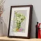 甜蜜的氣味的瓶花