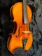 VL610 4/4 小提琴 VIOLIN