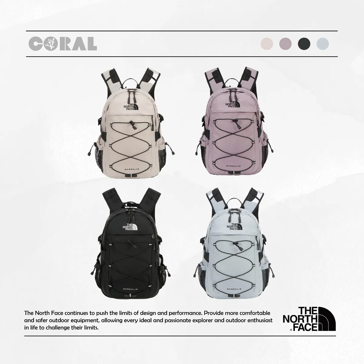 CORAL STORY - New Arrival 新品
