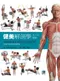 健美解剖學(Anatomy ＆ Bodybuilding: A Complete Visual Guide)