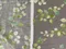 特價布/【網購獨家】高橋惠美子系列-葉(3色)