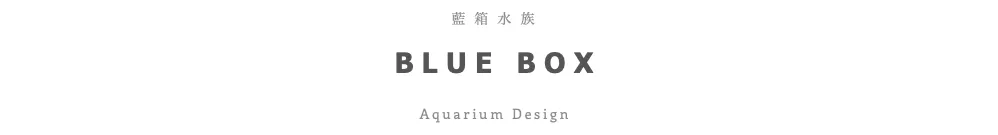 blueboxaqua