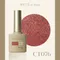 ARTiS di Voce 亮粉甲油膠8g CT076