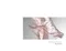 THE FAVORI 金屬凝膠-Nuance Silky 3色