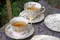Colclough - 粉底黃金花與葉系列 (含 茶杯組 糖碗 )