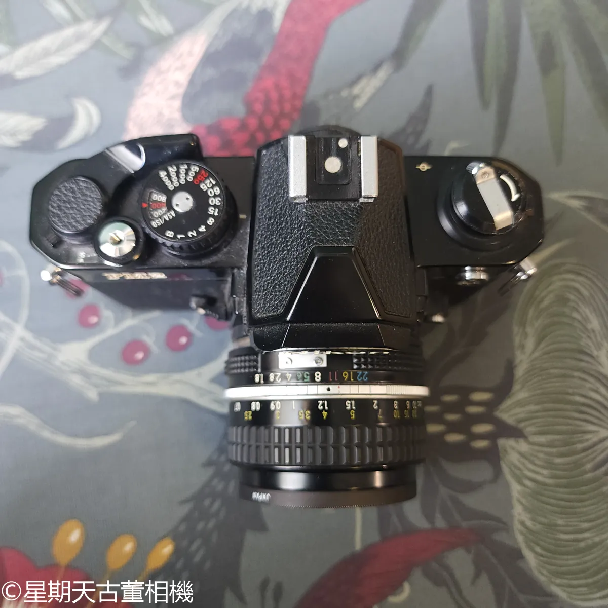 NIKON FM2 + NIKON AI NIKKOR 50mm F1.8 底片單眼相機