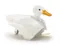 田宮 工作樂 步行 游泳 鴨子 No.257 組裝模型 白色 Walking & Swimming Duck