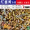 【壽豐青農】曾吉生-有機紅薑黃粉(100克/盒)(含運)