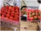 草莓達人-草莓(大果)300gX4盒★產銷履歷★免運組★