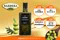 【鑑賞級】【綠橄欖】羅倫索 N.1 產區認証特級初榨橄欖油-500ml