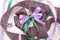 <特惠套組>夢幻紫翡翠套組/禮盒包裝/蝴蝶結/手工材料/緞帶用途/緞帶批發
