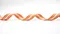 K1672 金銀蔥線直條織帶21MM (K1672 Stripe with Metallic Ribbon -21MM )