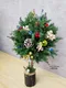 A9-10│聖誕樹│新北市花店│蘆洲花店│送禮盆栽│訂花│送花