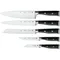 Zwilling VIER STERNE (四星) 雙人牌刀具6件組 高階款 #35149-000