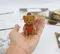 JIGZLE ® 3D-木拼圖-彩色旋轉音樂盒-泰迪熊