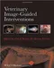 Veterinary Image-Guided Interventions