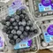 祕魯進口鮮採藍莓4.4oz原裝箱