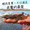 【義竹青農】柯明賢-活凍生鮮白蝦(300克x3包)(含運)