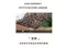 豆油皂200g｜素顏之本｜洗手｜洗臉｜洗澡｜醬油皂｜黑豆｜胺基酸｜香氛｜肥皂