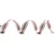 K1461 跳線蔥條織帶 9mm (K1461 Metallic Stitching Ribbon 9mm)