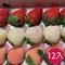 天藍果園-大湖三色草莓(12顆)禮盒★含運組★預購中1月底出貨