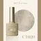 ARTiS di Voce 亮粉甲油膠8g CT020