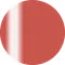 PRESTO 彩繪凝膠 L005
