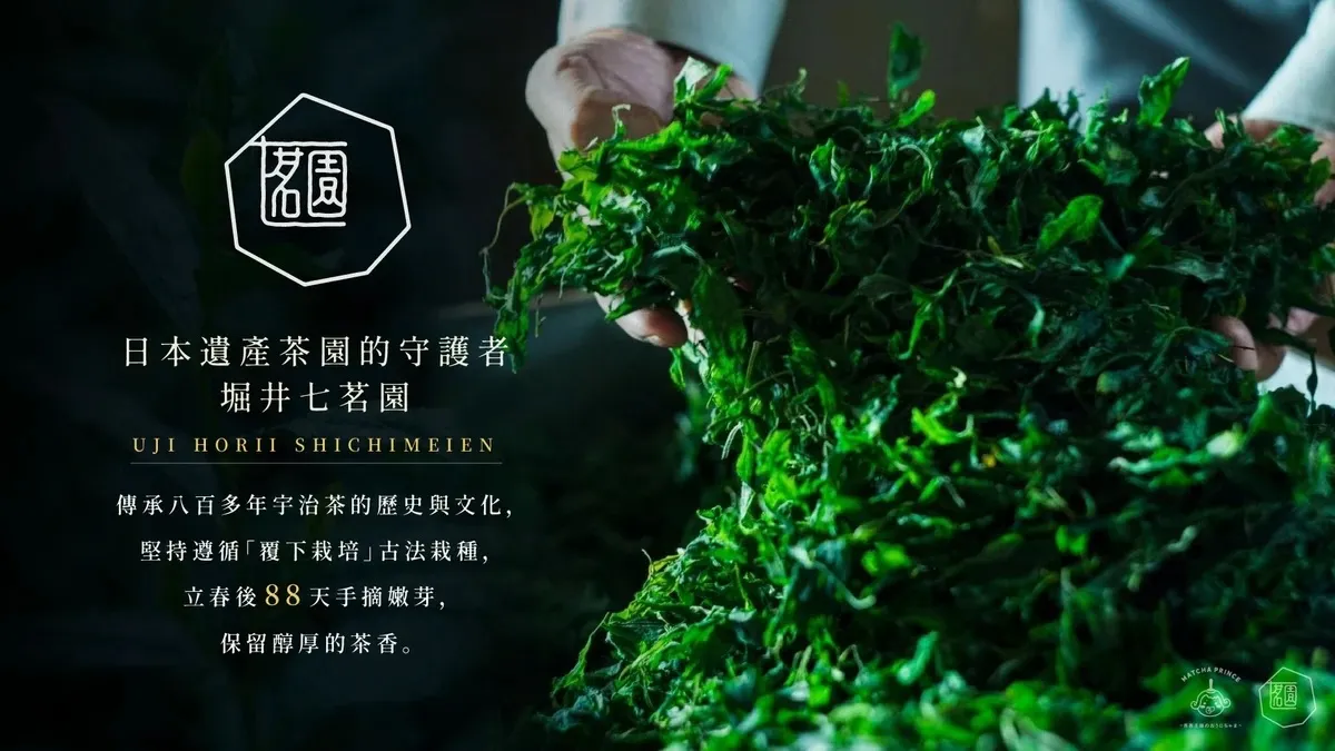 堀井七茗園-日本宇治奧之山茶園｜茶茶王国のおうじちゃま