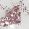 NOVEL Filomena glitter 1103