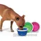 美國Bamboo．寵物外出摺疊碗【小】適合中小型犬貓，無毒材質，攜帶方便好收納