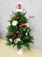 A9-11│聖誕樹│新北市花店│蘆洲花店│送禮盆栽│訂花│送花