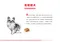 ROYAL CANIN法國皇家．BHN品種訂製系列【CHA吉娃娃成犬】3公斤(原PRC28)
