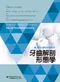 最新牙體技術師教材:牙齒解剖形態學