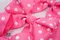 糖霜樂章蝴蝶結(PR154-1-PTM064/Frosting Melody Bow) ｜點點｜粉色｜手作｜布置｜春天｜緞帶用途｜髮飾｜復活節