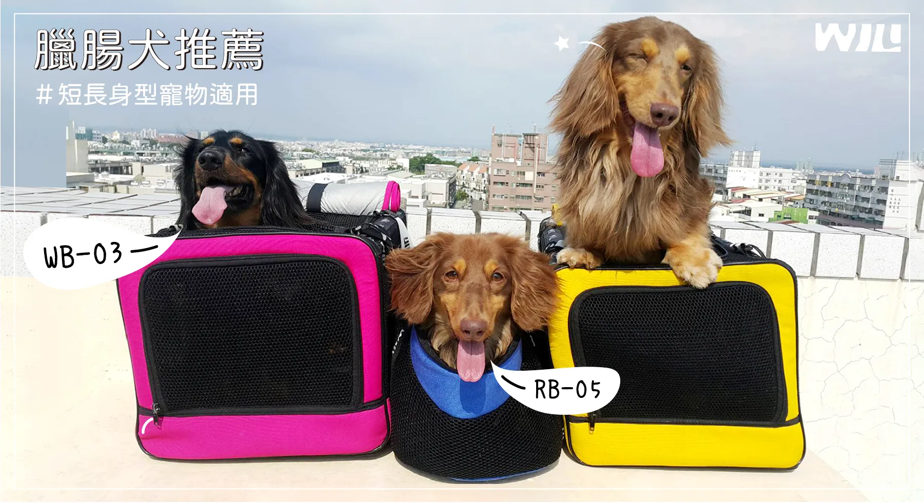 WILLAMAZING寵物用品】官方網路商店