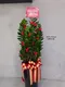 D1-8│送禮盆栽│新北市花店│蘆洲花店│開幕誌慶│新居落成│榮升誌慶│訂花│送花