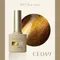 ARTiS di Voce 貓眼甲油膠8g CE049