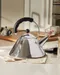 【缺貨】ALESSI Tea Rex Kettle 龍哨水壼 #9093REX B