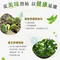 【旗山青農】侯兆百-臺灣九號精品毛豆仁(500克x10包/箱)(冷凍含運)