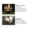 ［NUIT努特］大火兵 不鏽鋼焚火台烤肉架 M號