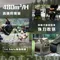 [ SANSUI 山水 ] 疾風擺頭渦輪扇 SZF-88G/66D │熱銷商品TOP.16 兩色 露營風扇 插電風扇 強力風扇 循環扇 風扇 戶外