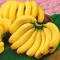 南投頂級香蕉25台斤/箱(免運)