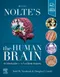 (舊版特價-恕不退換)Nolte's The Human Brain: An Introduction to its Functional Anatomy