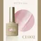 ARTiS di Voce 貓眼甲油膠8g CE002