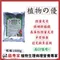 【菌專家獨家】植物的優