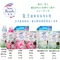 花王 植物香氛洗衣精 含柔軟劑 New Beads