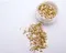Nail Labo 亂切亮粉 香檳金